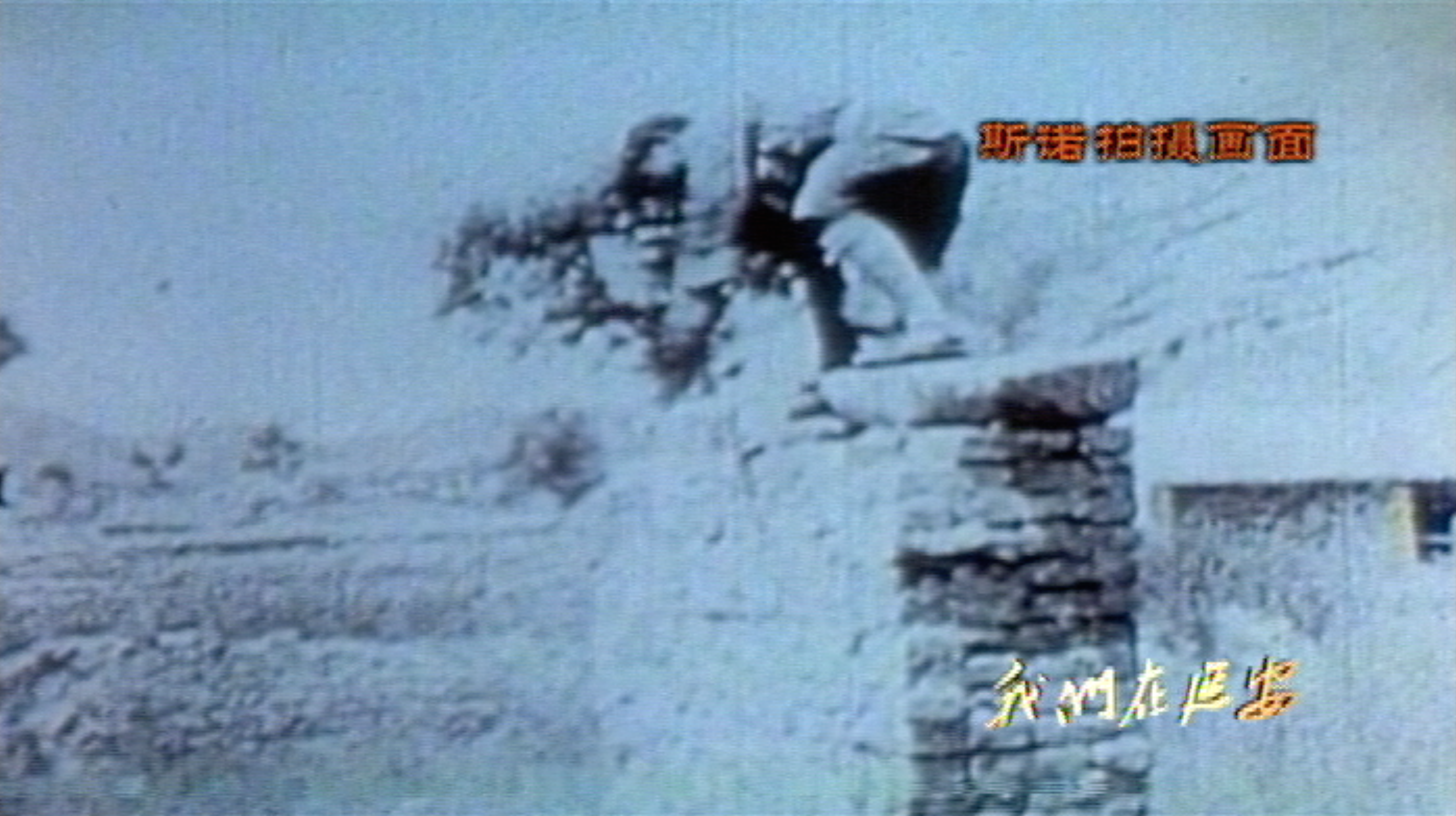 斯诺拍摄画面2.png