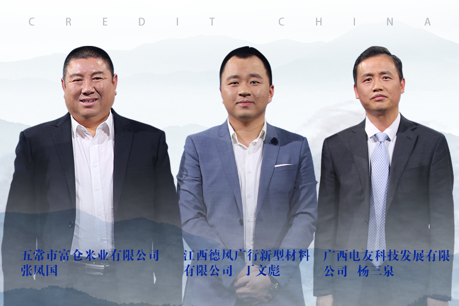 《信用中国》20190312期 丁文彪 张凤国 杨三泉