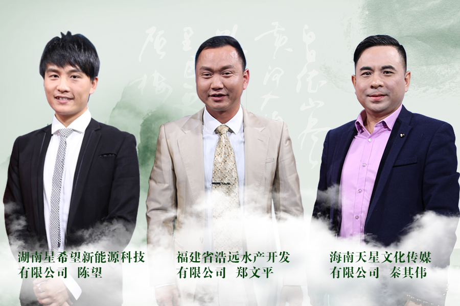 《信用中国》20190122期 郑文平 陈望 秦其伟